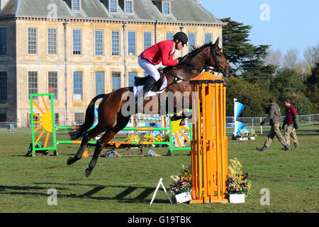 Paolo Tapner (Australia) Vanir Kamira Show Jumping al Belton International Horse Trials, 17 aprile 2016 Foto Stock