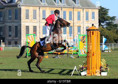 Paolo Tapner (Australia) Vanir Kamira Show Jumping al Belton International Horse Trials, 17 aprile 2016 Foto Stock