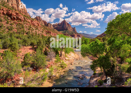 Vista incredibile della sentinella montagna nel Parco Nazionale di Zion e il fiume vergine, Utah Foto Stock