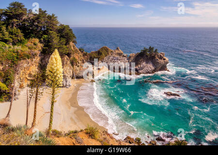Spiaggia, cade e fiori in Big Sur, California Foto Stock