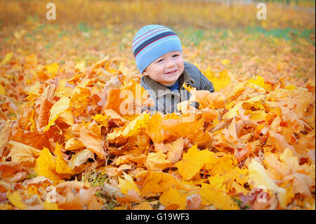 Capretto felice in giallo le foglie di autunno nel parco Foto Stock