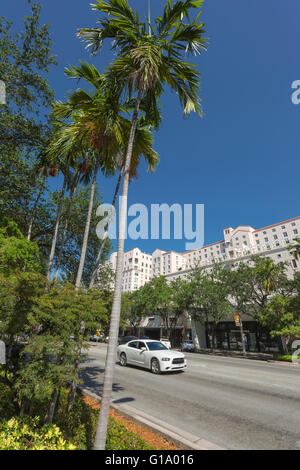 MIRACLE MILE CORAL GABLES FLORIDA USA Foto Stock