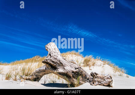 Legno stagionato sulla deserta spiaggia vuota sul punto Loughros, Ardara, County Donegal, Irlanda Foto Stock