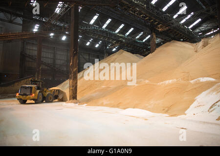 Tate & Lyle raffineria di zucchero in Silvertown, docks londinesi, England, Regno Unito Foto Stock