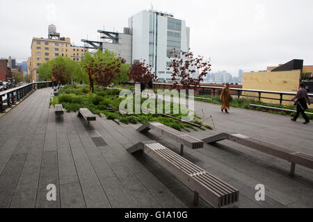 Le piante che crescono tra le rotaie, accanto a posti a sedere sulla linea alta nella città di New York, Stati Uniti d'America. Foto Stock