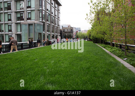 A grassy section of the High Line, the 23rd Street Lawn, in New York City, USA. Foto Stock
