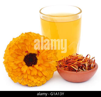 A base di erbe di fiori di calendula con estratto in un bicchiere su sfondo bianco Foto Stock