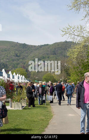 RHS Malvern Spring Visualizza la folla godendo egli shopping Foto Stock