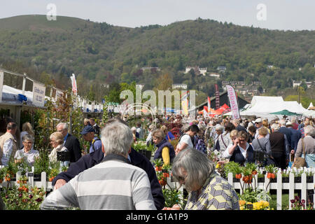 RHS Malvern Spring Visualizza la folla godendo egli shopping Foto Stock