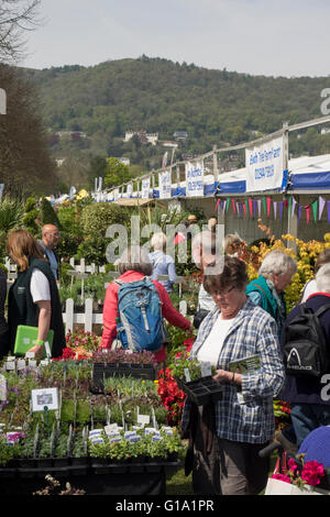 RHS Malvern Spring Visualizza la folla godendo egli shopping Foto Stock