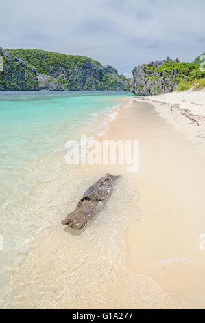 Island hopping intorno El Nido in Palawan Foto Stock