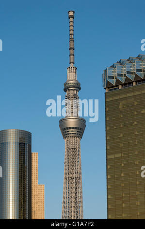 Sumida Ward Office, Skytree Tower e Asahi Headquarters Building, Tokyo, Giappone Foto Stock