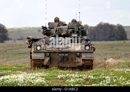 Un esercito britannico guerriero di combattimento della fanteria, veicolo MCV-80, sulla Piana di Salisbury zona di addestramento militare nel Wiltshire, Regno Unito. Foto Stock