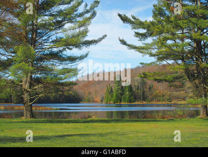 Il fiume di alci, Thendara, New York, nell'Adirondack State Park Foto Stock