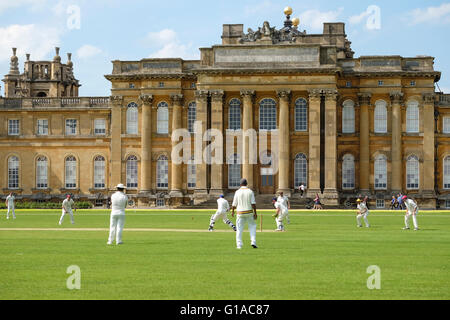 Una partita di cricket di essere riprodotti sul prato presso il Palazzo di Blenheim in Oxfordshire Foto Stock