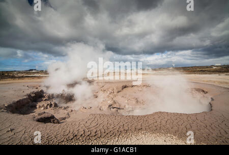 Il fango piscina situata sulla attiva area geotermica nel sud-ovest dell'Islanda. Foto Stock