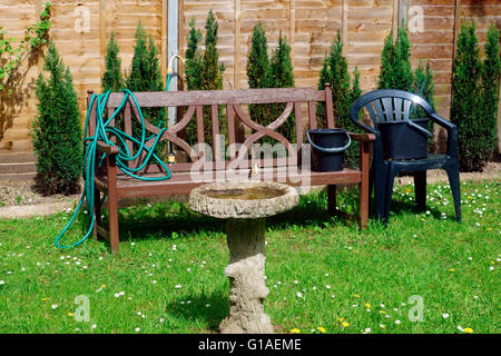 Cardellino SUL BAGNO UCCELLI NEL GIARDINO Foto Stock