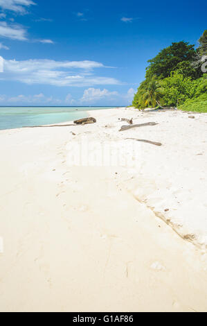 Sipadan Island al largo delle coste del Borneo Foto Stock