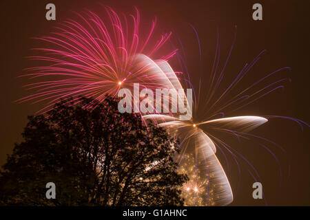 Una lunga esposizione di fuochi d'artificio catturato sulla notte dei falò nel nord di Londra, Regno Unito. Foto Stock
