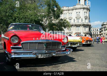 Una fila di dipinto luminosamente vecchio anni cinquanta vetture americane sul display nel centro di Havana per i turisti per il noleggio di La Habana Cuba Foto Stock