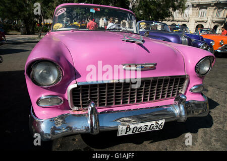 Una fila di dipinto luminosamente vecchio anni cinquanta vetture americane sul display nel centro di Havana per i turisti per il noleggio di La Habana Cuba Foto Stock