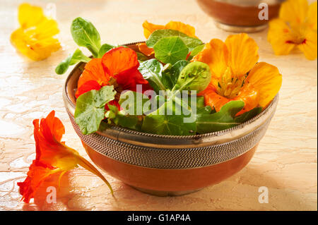 I nasturzi freschi Fiori e foglie di insalata Foto Stock