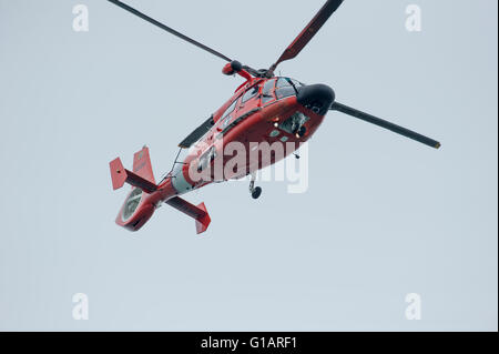 United States Coast Guard elicottero. Eurocopter HH-65 Dolphin Foto Stock