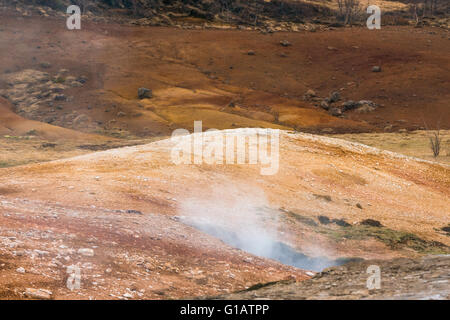 Attività geotermica in natura islandese con vapore proveniente dal suolo Foto Stock