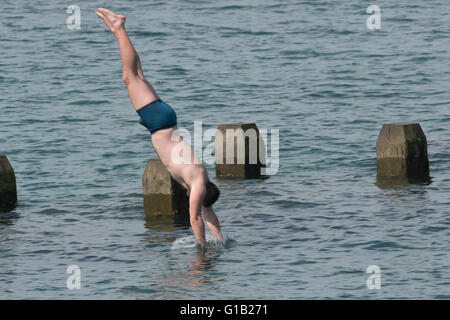 Aberystwyth, Wales, Regno Unito, giovedì 12 maggio 2016 UK Meteo: persone al mare in Aberystwyth godendo di nuoto e divinf in mare l'ultimo giorno di caldo meteo attuale mini ondata di caldo. Le temperature sono impostate a cadere nei prossimi giorni, con luminosa ma più freddo a condizioni che prevalgono nel paese Photo credit: Keith Morris / Alamy Live News Foto Stock