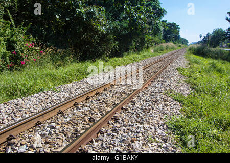 Stazione ferroviaria linea diagonale natura accanto ad albero orizzontale esterna Foto Stock