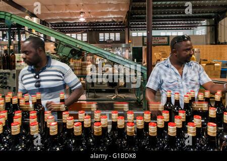 Haiti, Port au Prince, Barbancourt rum distillery, sezione di imbottigliamento Foto Stock