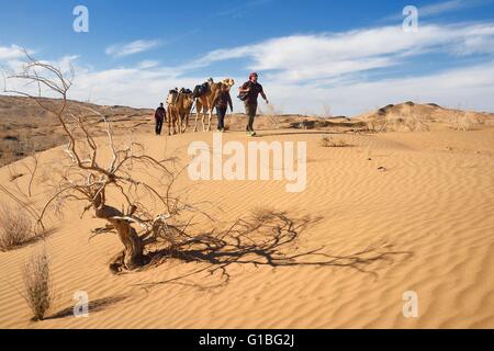 Iran, provincia di Isfahan, Dasht-e Kavir deserto, Mesr in Khur e Biabanak County, a dorso di cammello Foto Stock