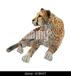 3D rendering di un gatto grande cheetah isolati su sfondo bianco Foto Stock