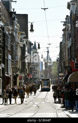 Paesi Bassi Olanda Settentrionale, Amsterdam, tram su Leidsestraat Foto Stock