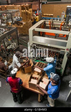 Haiti, Port au Prince, Barbancourt rum distillery, sezione di imbottigliamento Foto Stock