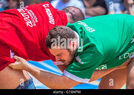 Wrestling canario esposizioni pubbliche Foto Stock