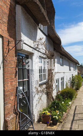 Riga di affascinanti cottage con il tetto di paglia in Dorchester Road, Tolpuddle, Dorset nel mese di aprile Foto Stock