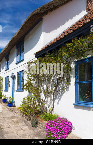 Riga di affascinanti cottage con il tetto di paglia in Dorchester Road, Tolpuddle, Dorset nel mese di aprile Foto Stock