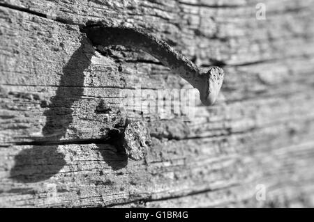 Messa a fuoco a tenuta sulla testa di un chiodo arrugginito in un vecchio pezzo di legno Foto Stock