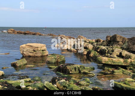 : Peveril Point, Swanage, Isle of Purbeck, Dorset, Inghilterra, Gran Bretagna, Regno Unito, Gran Bretagna, Europa Foto Stock