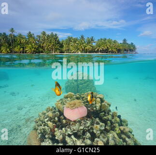 Al di sopra e al di sotto della superficie dell'acqua, isolotto tropicale a riva e corallo con pesce di anemone subacquea, laguna di Huahine, Polinesia Francese Foto Stock