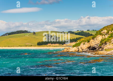 Nuova Zelanda linea costiera paesaggio - una felice giornata di sole a Otago regione Isola del Sud della Nuova Zelanda Foto Stock