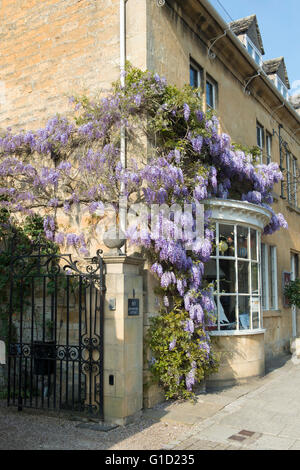 Il Glicine su una pietra di cotswold house / shop, Broadway, Cotswolds, Worcestershire, Inghilterra Foto Stock