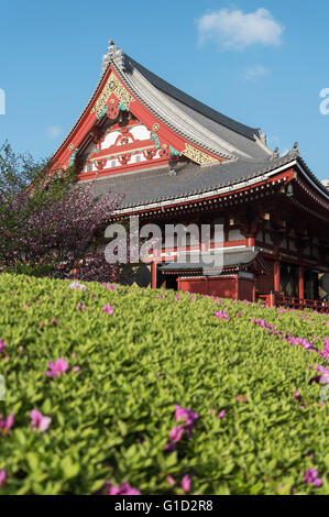 Il Tempio di Senso-ji, Asakusa, Tokyo, Giappone Foto Stock