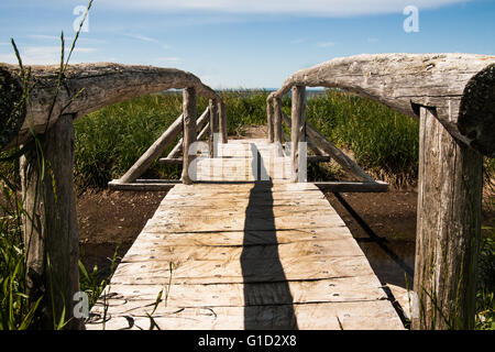 Ponte di legno che attraversa un piccolo torrente che conduce al ocean shore. Foto Stock