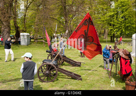 Piccoli cannoni a svedesi la rievocazione di invasione picnic nel castello Janowiec, pistole con bandiere rosse a assalto svedese di improvvisazione. Foto Stock