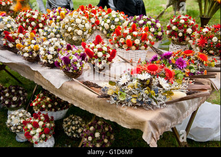 Fiori colorati regime al fair il giorno di maggio picnic in Janowiec castello in Polonia, di svago durante l invasione degli Svedesi evento. Foto Stock