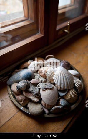 Conchiglie di mare e pietre sul davanzale in casa interno, piastra con vari gusci e ciottoli pila permanente sulla vecchia in legno cantonale. Foto Stock