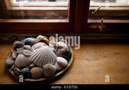 Conchiglie di mare pila sul davanzale in casa interno, piastra con vari gusci e ciottoli mucchio in piedi sul vecchio legno pedana di grandi dimensioni. Foto Stock