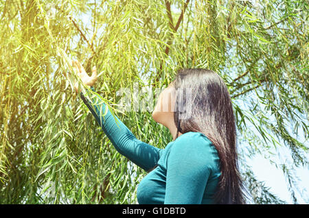 Ragazza in aumento la sua mano a toccare le foglie Foto Stock